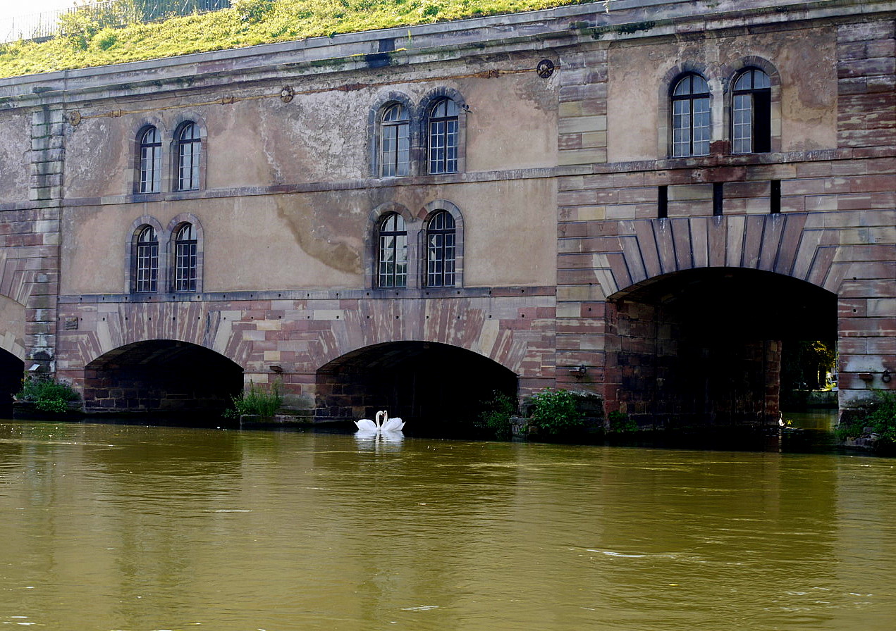 Strasbourg  city